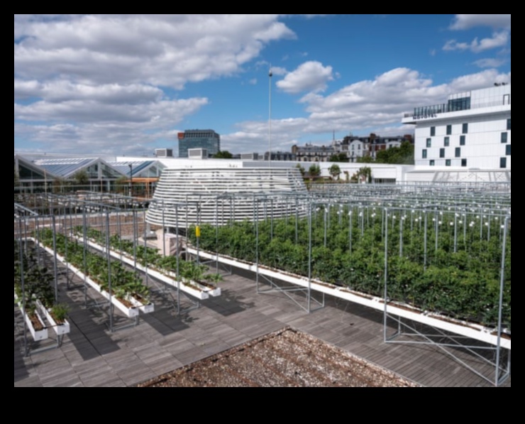 Sky Gardens: jumta bēgšana panorāmā