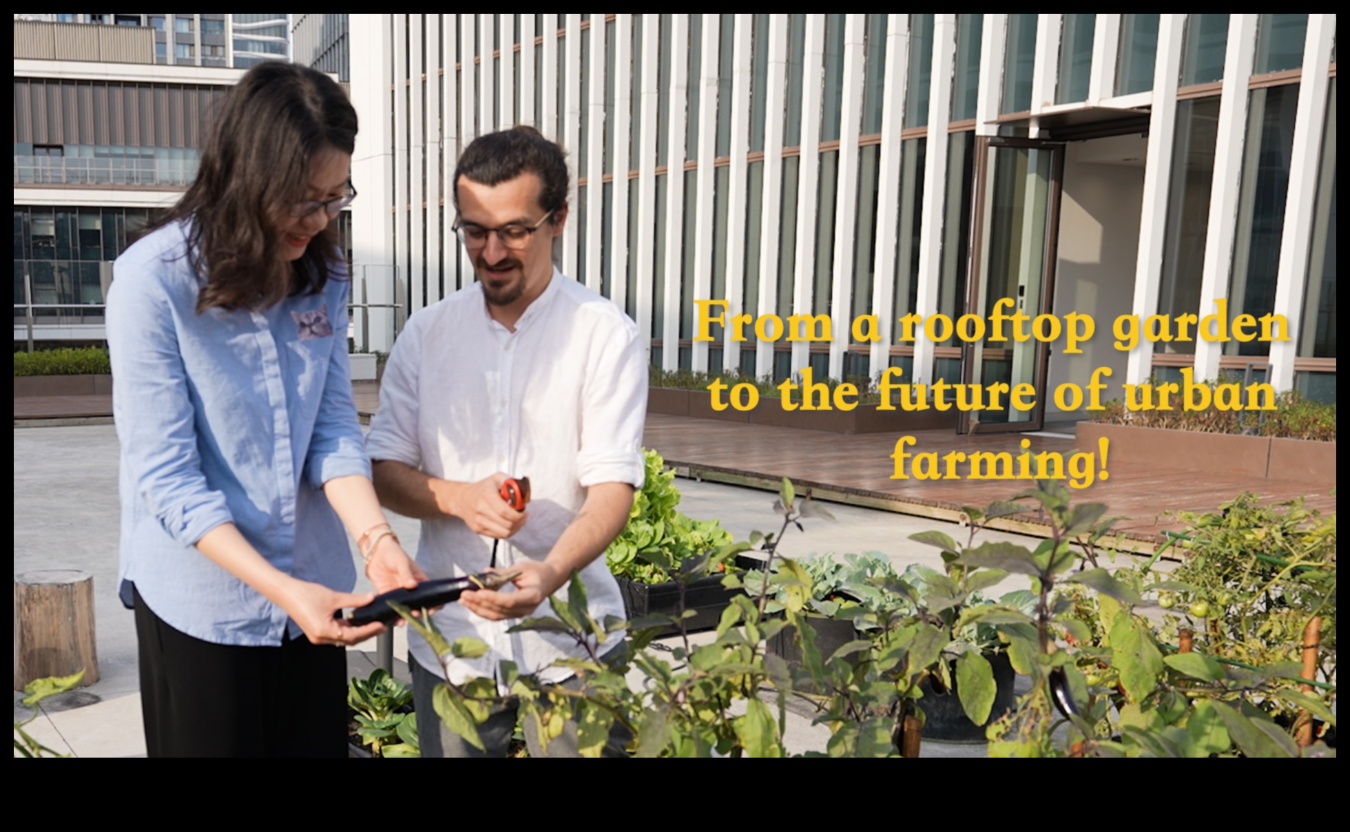 Sky Gardens: jumta bēgšana panorāmā