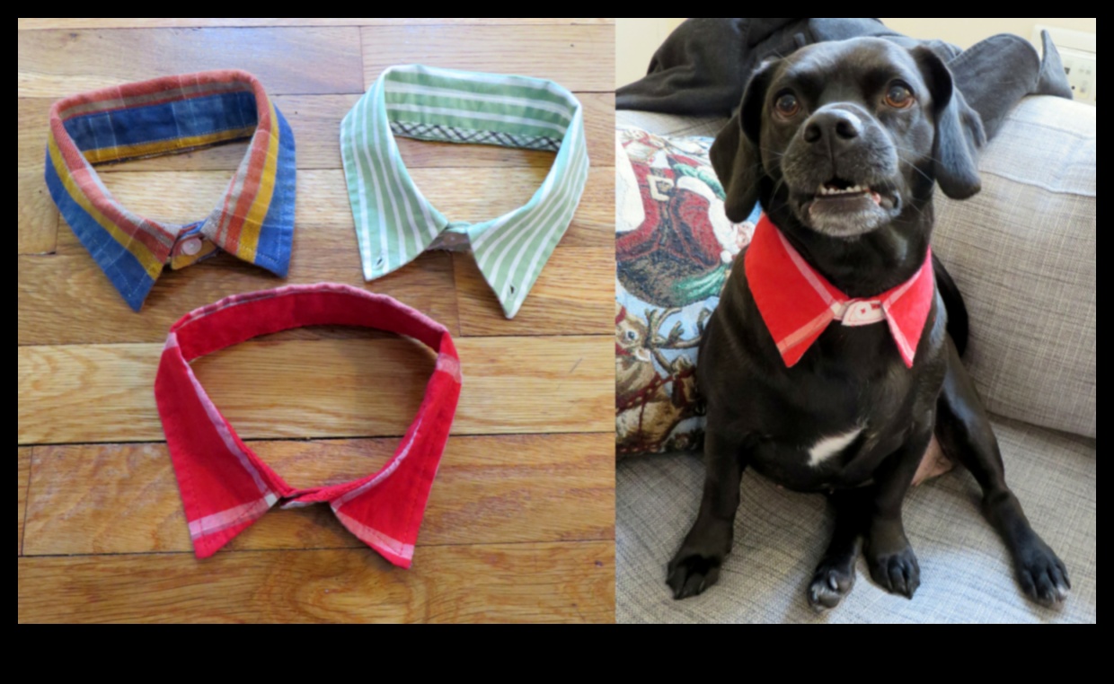 Dapper Doggies: DIY mājdzīvnieku apģērbs un aksesuāri