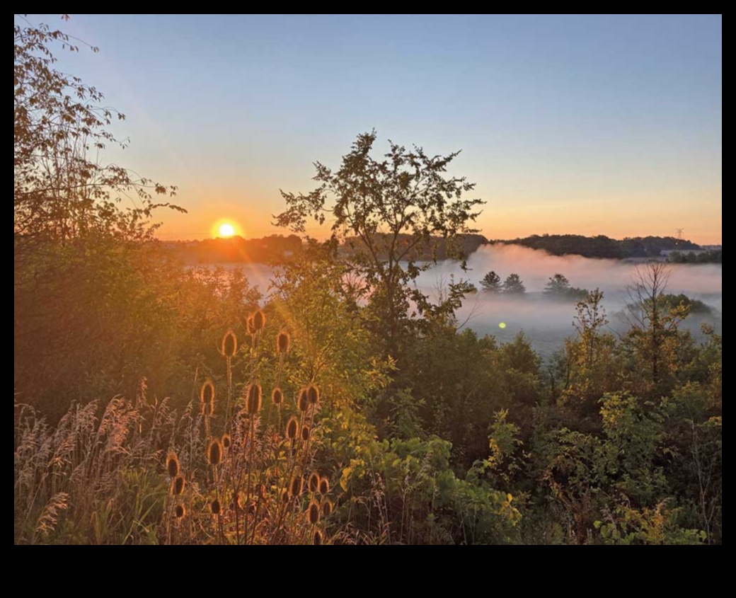 Pilsētas zaļie ceļi: ceļi cauri pilsētas parkiem
