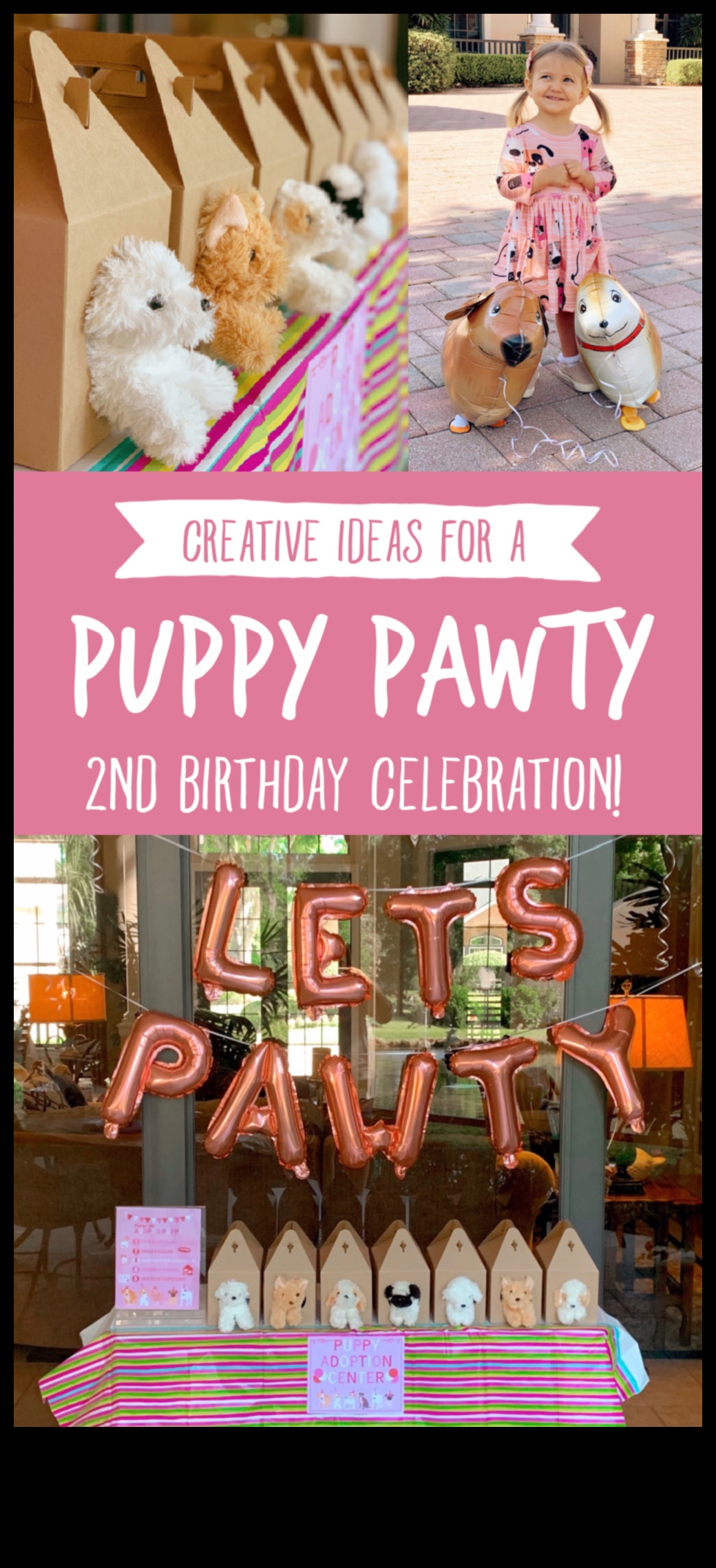 Kabatas mājdzīvnieku ballīte: rīkojiet svētkus saviem mazajiem dzīvniekiem