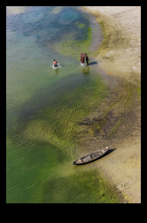 Pilsētas krastmalas: upes krasts, dzīvošana pilsētā