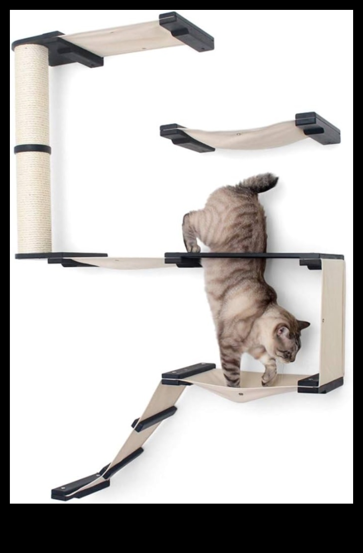 Cat Condo Crafting Turpinājums: Uzlabojiet vertikālo izpēti