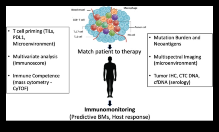 Pixel Perfect Health: precizitātes sasniegšana biotehnoloģiskos risinājumos