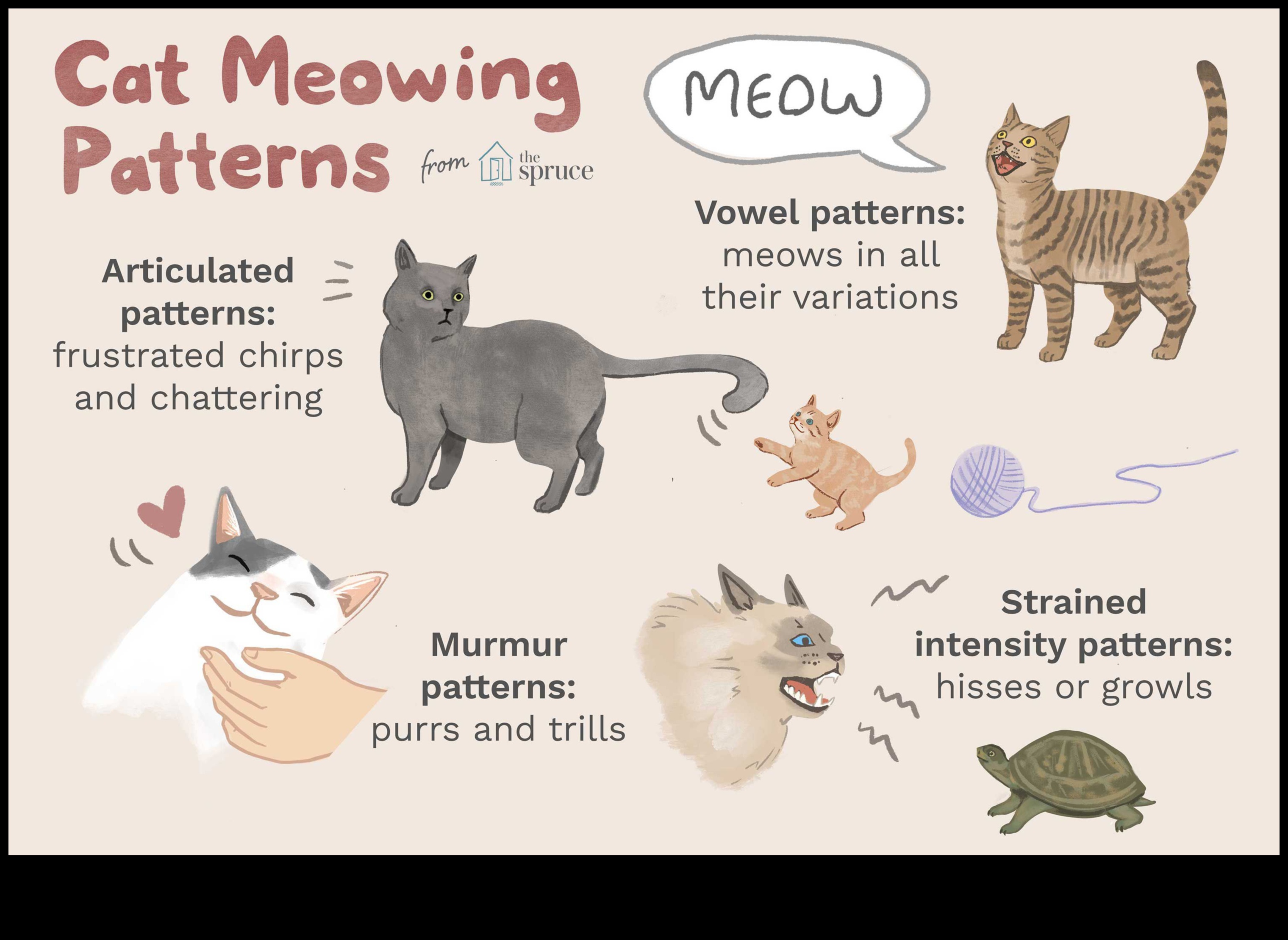 Kaķu zvani: Izpratne par kaķu skaņu valodu