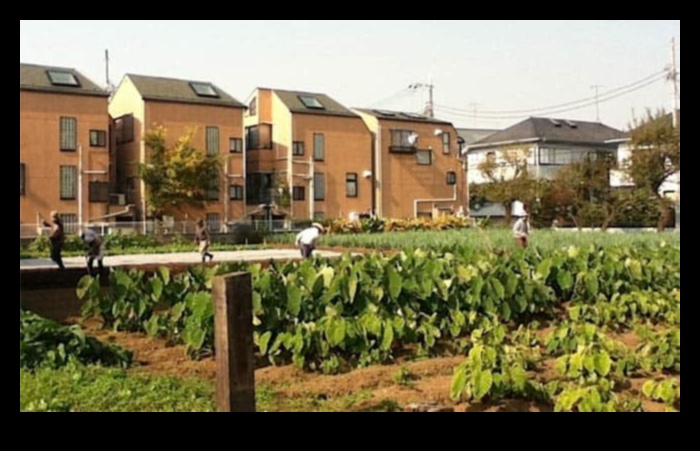 Kādas ir labi izstrādātas pilsētas ainavas īpašības?