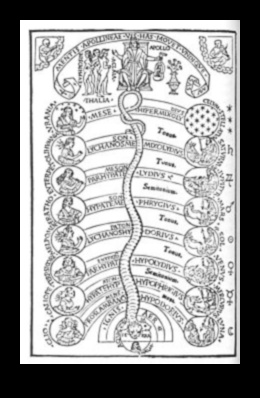 Debesu simfonija: zvaigznes un mākoņi nakts ainavās