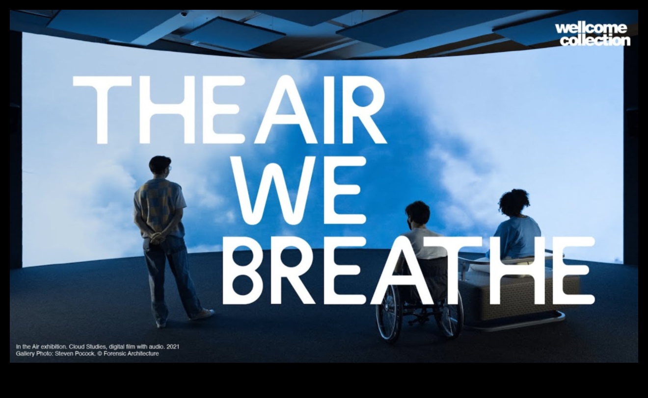 Kāpēc noteiktas ainavas ir jutīgākas pret gaisa un ūdens piesārņojumu?