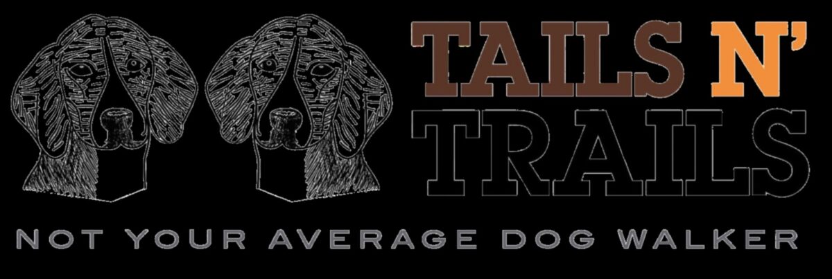 Astes un takas: āra piedzīvojumi suņiem