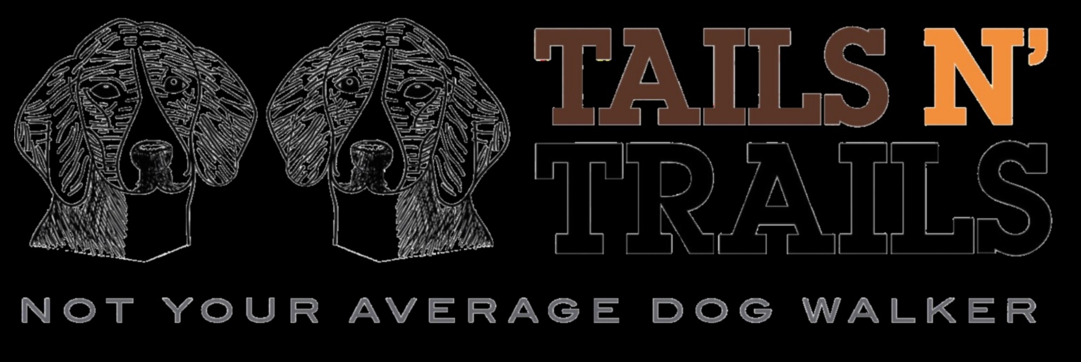 Astes un takas: āra piedzīvojumi suņiem