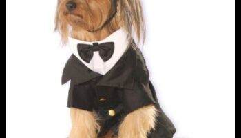 Dapper Doggies: DIY mājdzīvnieku apģērbs un aksesuāri