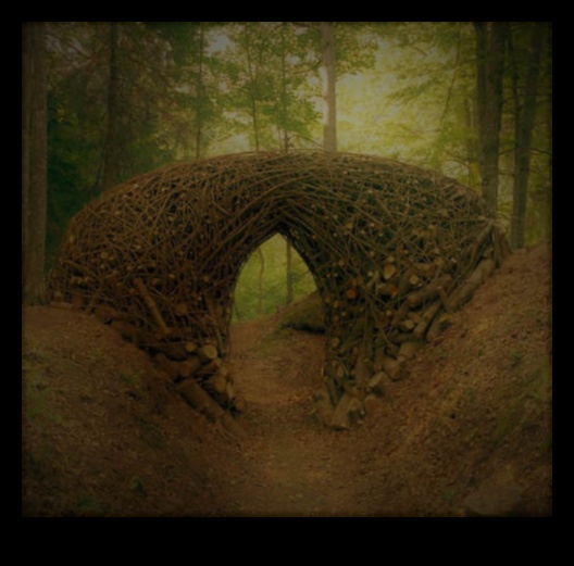 Ekomākslas centieni: vides apziņa modernismā