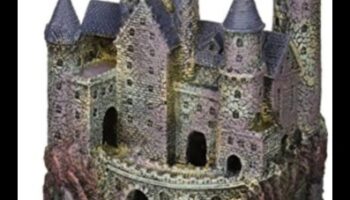 Fish Tank Fortunes Turpinājums: Pils projektēšana akvārija mājdzīvniekiem