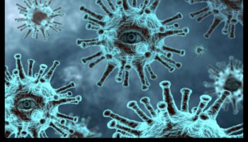 Kāpēc noteiktas ainavas ir jutīgākas pret gaisa un ūdens piesārņojumu?