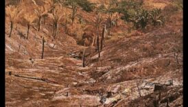 Kāpēc noteiktas ainavas ir neaizsargātākas pret biotopu iznīcināšanu?