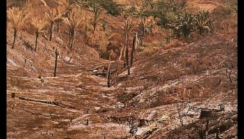 Kāpēc noteiktas ainavas ir neaizsargātākas pret biotopu iznīcināšanu?