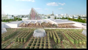 Sky Gardens: jumta bēgšana panorāmā