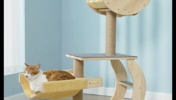 Cat Condo Crafting Turpinājums: Uzlabojiet vertikālo izpēti