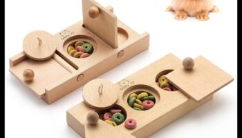 Kāmju bagātināšanas idejas turpinājums: DIY mīklu padevēji un rotaļlietas