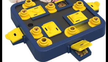 Kucēnu mīklas: interaktīvas spēles garīgai stimulēšanai