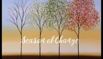 Sezonas pārejas: ainavas flux