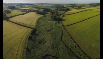 Pārpilnības lauki: lauksaimniecības zemes un labības lauki