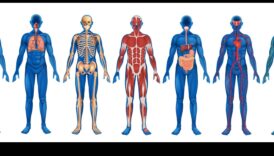 Sensorā izpēte: ķermeņa skenēšanas spēka atraisīšana