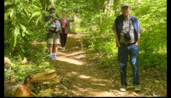 Pilsētas zaļie ceļi: ceļi cauri pilsētas parkiem