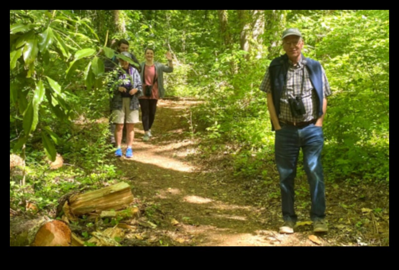 Pilsētas zaļie ceļi: ceļi cauri pilsētas parkiem