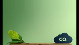 Zaļo horizontu izstrāde: tendences un uzvaras radošajā mākslā un ilgtspējīgā jomā