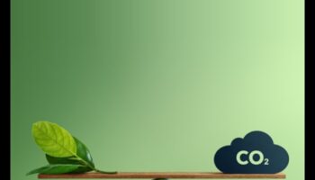 Zaļo horizontu izstrāde: tendences un uzvaras radošajā mākslā un ilgtspējīgā jomā